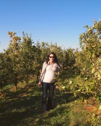 Apple Picking!