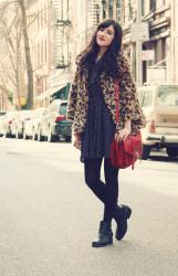 Leopard + Dots