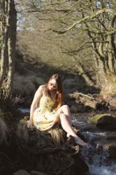 Moorland Fairy