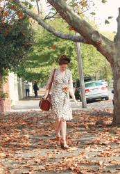 golden leaves, evening light and a perfect autumn saturday in melbourne