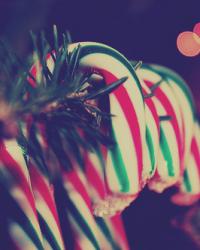 ★ * MERRY CHRISTMAS * ★