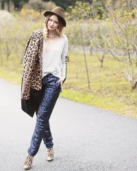 leopard & shine