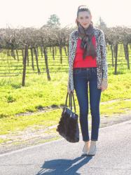 Guest Blogger: Kacie's Kloset