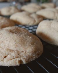 Chai Spiced Sugar Cookies