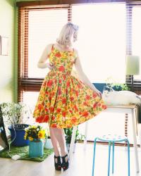 babycat, in the study, with a vintage dress