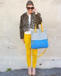 Leopard & Yellow