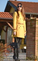 The yellow coat