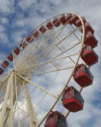 The Sydney Royal Easter Show!