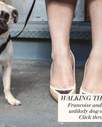 {STYLE} Walking the Dog