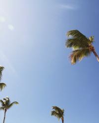 PUNTA CANA PHOTODAIARY & VIDEO