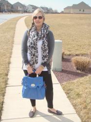 Muted Gray, Leopard and Polka Dots