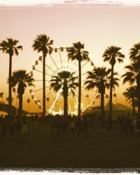 Coachella stretch