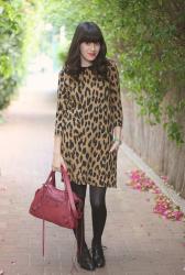 for the love of leopard