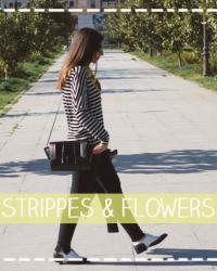 Strippes & flowers