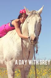 A Day with Grey