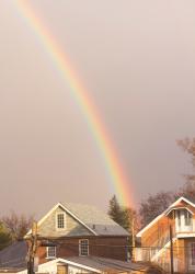 Looking For The Rainbow In The Storm