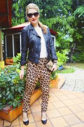 {Outfit}: Leopard pants + a Motorcycle Jacket = Awesomeness