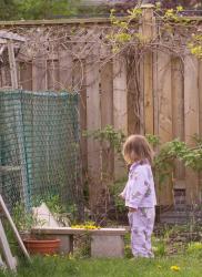 Random Sundays:  Planting Dandelions