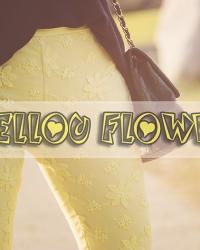 Yellou Flowers