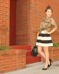 Leopard + Stripes