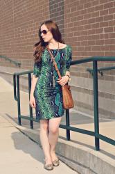 DVF Snake Print Dress