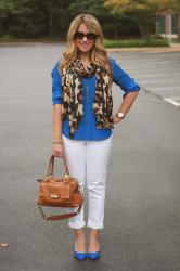 Blue, White, & Animal Print