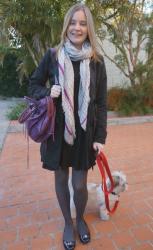 Leopard Print, Purple Skinnies, RM MAC | Glassons Skater Dress, MbMJ Scarf, Balenciaga Sapphire City