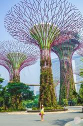 Gardens By The Bay