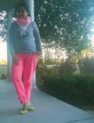 Pinned it and Did it: Animal Sweater and Hot Pink Cropped Pants.