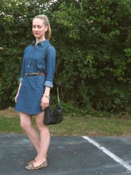 Chambray Dress