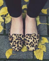 leopard loafers