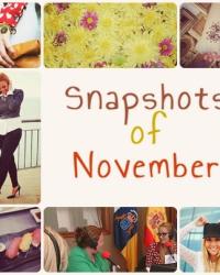 Snapshots of the month - November