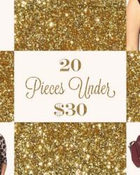 20 under $30 - December Edition 