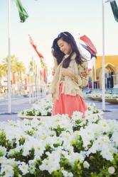 Shopping at Dubai Mall