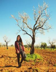 Almond's flowers