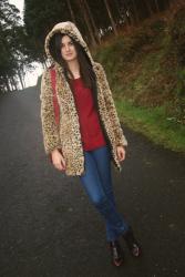 Leopardo 