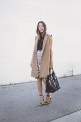 Camel Coat and Leopard Skirt