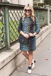 Feather-Print: From Fall to Spring