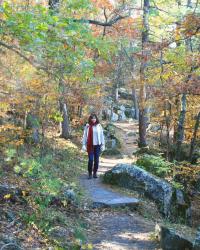 Exploring the Forest, Gorge, and Glacial Potholes of Interstate State Park