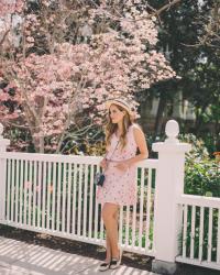 Pink Begonia Lace Dress