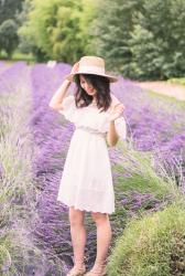 Cold Shoulder Dress and Lavender Fields