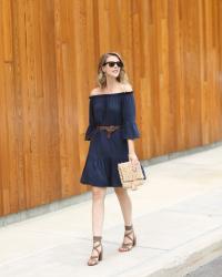 Little Navy Dress