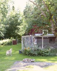 Sista sucken av sommar i Strängnäs