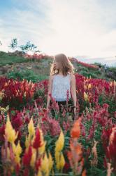 Sirao Flower Garden