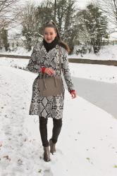 Winter Wonderland :: Snake Print Coat and High Ponytail