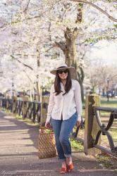 Cherry Blossoms in Wooster Square