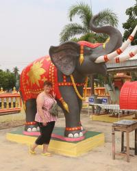 Nein zu Elefanten reiten! - Thailand Reisebericht