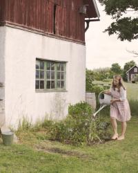 Saker jag lärt mig och gjort nytt i sommar 🍃