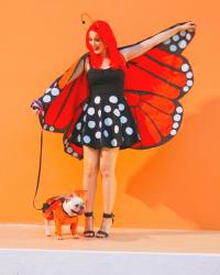 {Halloween}: DIY Homemade Butterfly Costume Tutorial