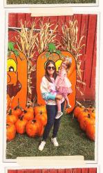 THE 10 BEST PUMPKIN PATCHES TO VISIT AROUND THE CHICAGO AREA